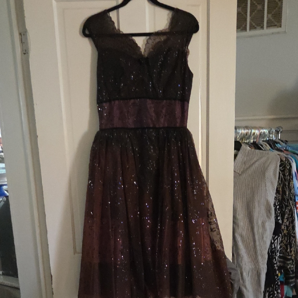 Elegant Vintage Black and Purple Lace/Tole Dress